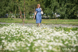 Жара в Екатеринбурге, аллея, тепло, поляна, лето, жара