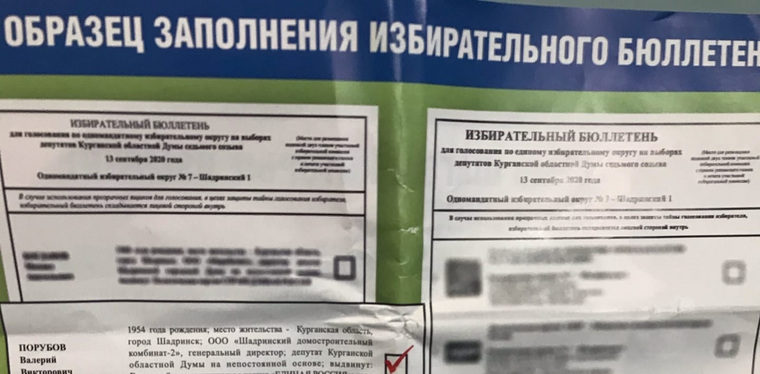 Образцы заполнения бюллетеней распространяют в Шадринске