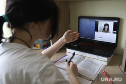 Дистанционное обучение. Клипарт. Курган, удаленная работа, удаленка, дистанционное обучение, удаленное обучение, уроки онлайн