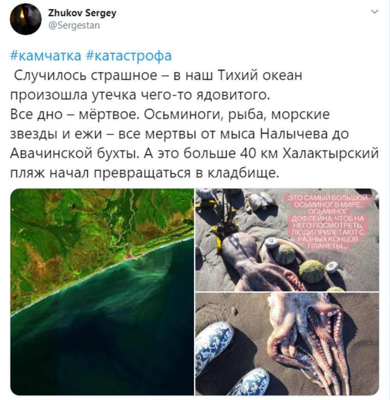 Россияне сообщают в Twitter об ужасающих подробностях экологической катастрофы