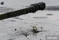 На Камчатке в воде обнаружены нефтесодержащие компоненты