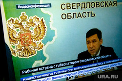 Видео-конференция губернатора Свердловской области Евгения Куйвашева. Москва, куйвашев на экране