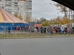 В цирк-шапито многие курганцы пришли без масок