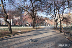 Осень жанровые фотографии Пермь, осень