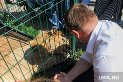 Приют диких животных «Спаси меня» Карена Даллакяна. Челябинск, зоопарк, приют животных, лвенок, симба, львенок