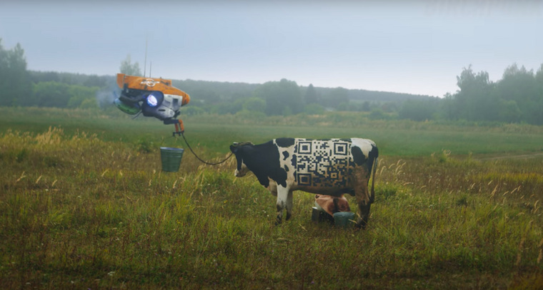 На корове изображен QR-код, который ведет на twitter главы «Роскосмоса» Дмитрия Рогозина