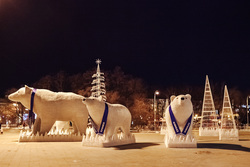 Инсталляция семьи белых медведей установлена на центральной площади Тюмени