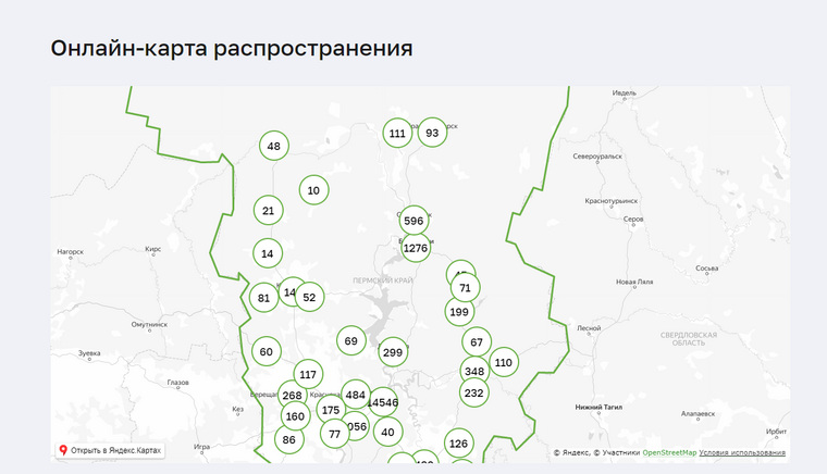 В Перми по состоянию на 8 декабря якобы выявлено 14 546 случаев заражения коронавирусом