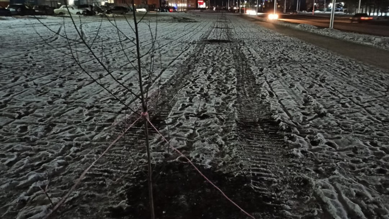 Озеленение улицы Мальцева продолжается не первый день