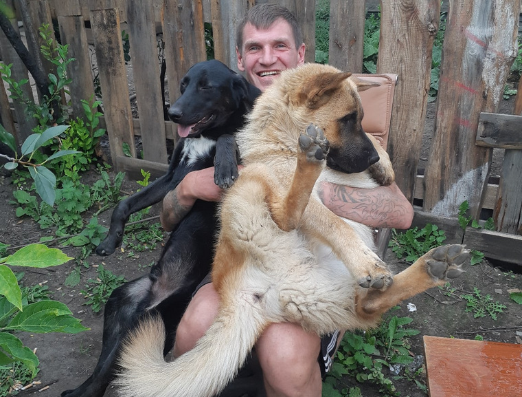 Теперь у Дмитрия живут три кота и две собаки