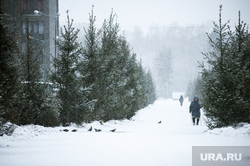 Виды Екатеринбурга, снег, парк, елки, виды екатеринбурга, зим газ12