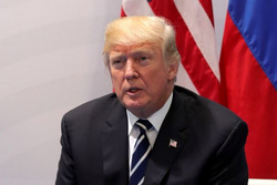 Саммит G20, трамп дональд, сток, stock