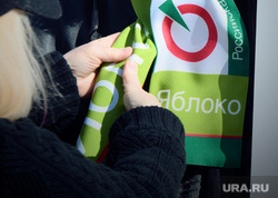 Пикет "Яблока" на Октябрьской площади против реформы местного самоуправления Екатеринбург, партия яблоко