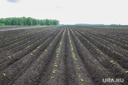 Депутаты Курганской областной Думы на полях ЗАО