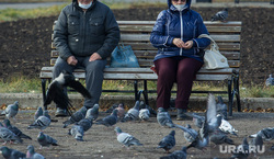 Клипарт. Магнитогорск, город, отдых, пенсионеры, кормление голубей, защитные маски
