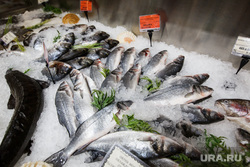 Турецкие продукты в гастрономах. Екатеринбург, рыба, сибас