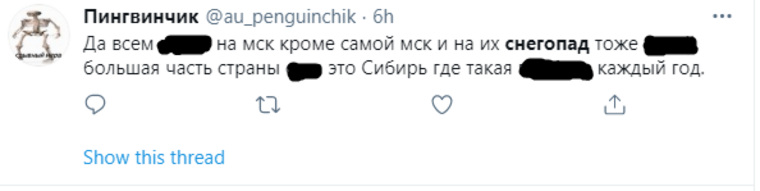 Пользователь «Пигвинчик» оказался экспрессивнее пользователя Д7. Он явно намекнул, что большинству россиян «все равно» на снегопады в Москве