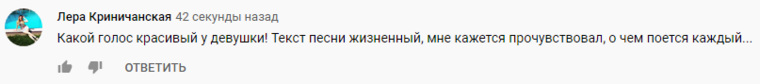 Пользователи YouTube уже оценили новую песню