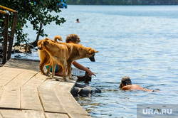 Экология Миасса и окрестностей. Челябинск, собака, жара, лето, отдых, настил для купания