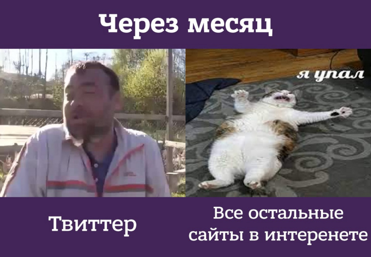 Россияне считают, что после замедления работы Twitter остановится работа всех соцсетей