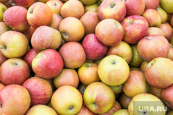 Продукты, овощи и фрукты. Тюмень, торговля, фрукты, яблоки