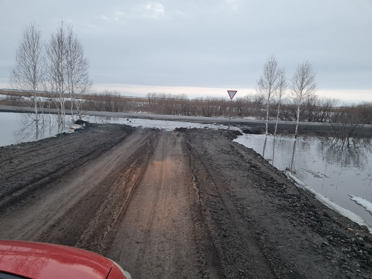 Так, по словам курганца, выглядела дорога перед публикацией поста