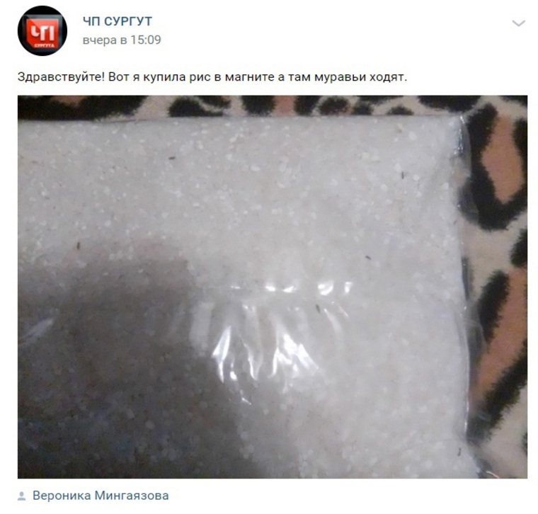 Скриншот публикации из соцсети «Вконтакте»