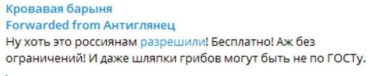 Ксения Собчак сделала репост сообщения о возможности собирать грибы в своем telegram-канале