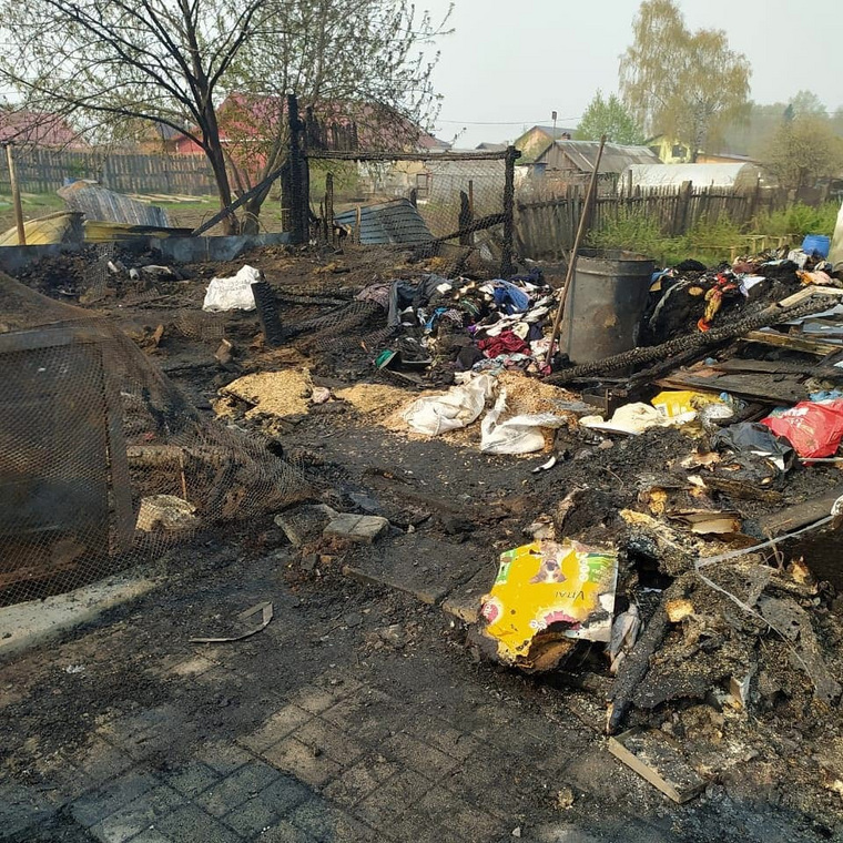 В огне погибли около 30 собак