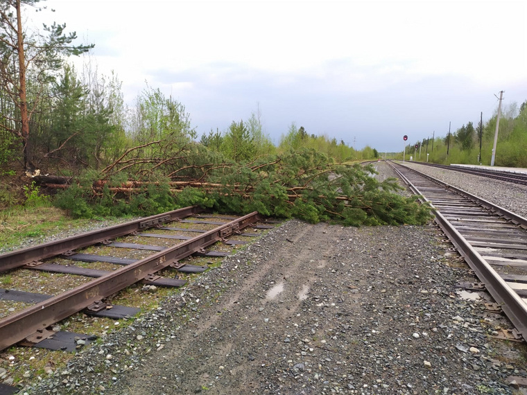 В Таежном деревья упали и на железнодорожные пути