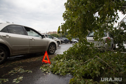 Упавшие деревья после урагана. Тюмень, знак аварийной остановки, ураган, штормовое предупреждение, автомобиль, шторм, упавшее дерево, дерево упало на машину