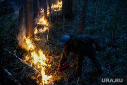 Пожар под Рефтинским. Свердловская область, тушение огня, лесной пожар, пожар в лесу, встречный пал