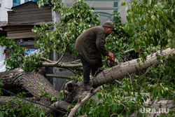 Последствия урагана в Екатеринбурге, улица куйбышева, распил дерева, екатеринбург , ураган, циклон, последствия урагана, устранение последствий, дерево