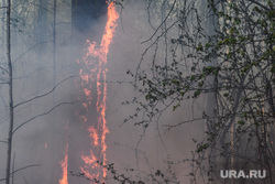 Пожар под Рефтинским. Свердловская область, лесной пожар