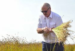 Лукашенко, урожай, лукашенко александр