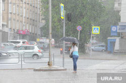 Клипарт. Челябинск, ливень, зонт, дождь