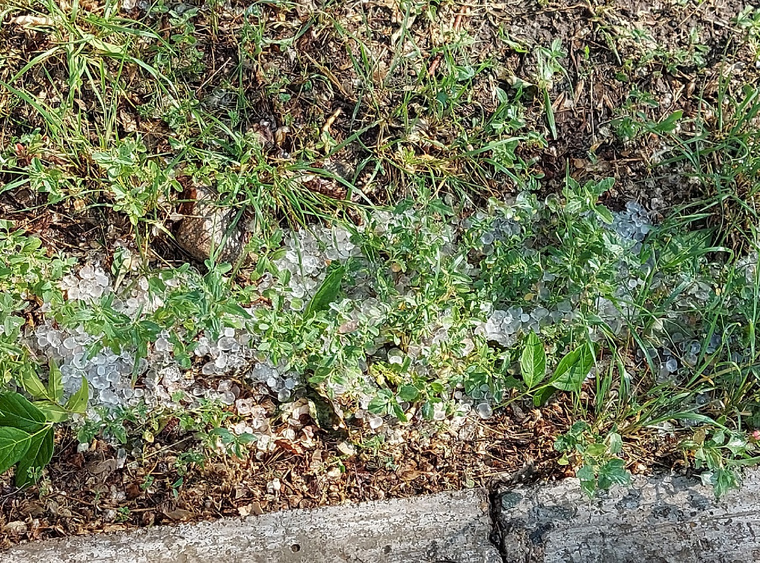 В некоторых местах ледяные кристаллы буквально усеивают траву