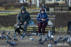 Клипарт. Магнитогорск, город, отдых, пенсионеры, кормление голубей, защитные маски