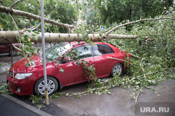 Упавшие деревья после урагана. Тюмень, ураган, штормовое предупреждение, шторм, упавшее дерево, дерево упало на машину