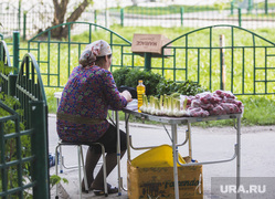Лето в городе. Сургут, бизнес, малый бизнес, уличная торговля