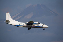 На месте крушения самолета на Камчатке обнаружили тела 19 человек