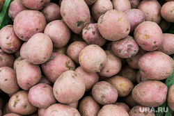 Продукты, овощи и фрукты. Тюмень, овощи, торговля, картофель, картошка