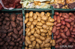 Открытие супермаркета «Перекресток». Екатеринбург, овощи, продуктовый магазин, картофель, картошка, прилавок
