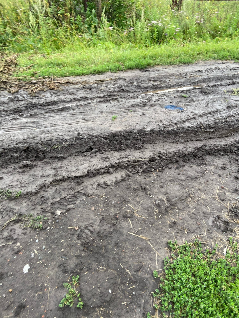 Из-за дождей в деревне Большая Блинникова размыло дорогу
