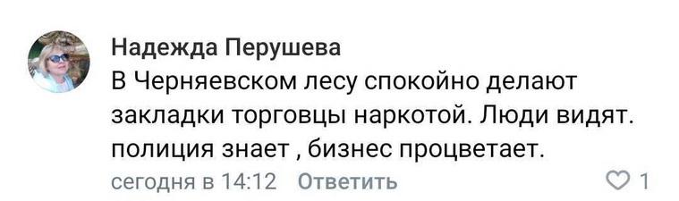 Кто-то из пользователей считает Балатовский парк и Черняевский лес местом, где процветает наркоторговля, а полиции нет дела