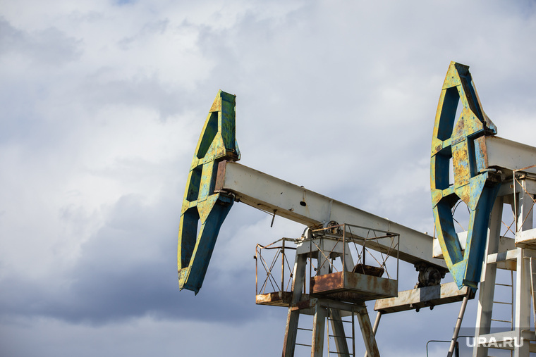Качалки. Сургут, газ, газпром, топливо, роснефть, качалка, экономика, нефть, месторождение, нефтедобыча, добыча нефти, природные ресурсы, лукоил, сургутнефтегаз, куст нефтегазовый, цены на нефть