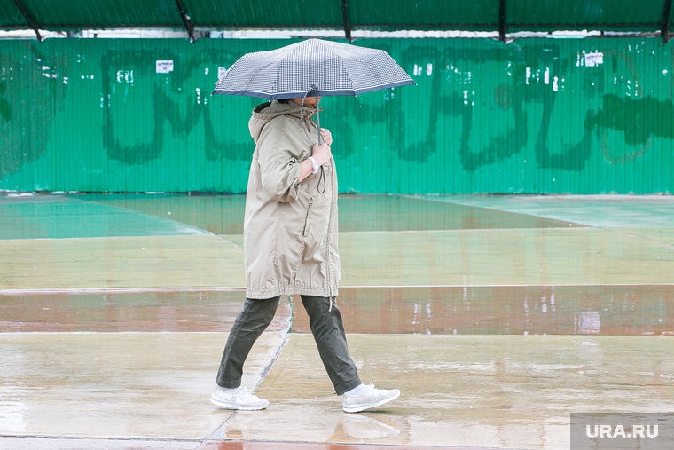 Дождливый день. Тюмень, непогода, люди с зонтами, дождь, человек с зонтом