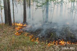 Верховые пожары в поселках Джабык и Запасное. Челябинская область, лесной пожар