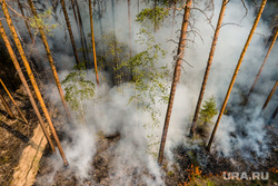 Лесной пожар на озере Глухое. Свердловская область, лес горит, лесной пожар, пожар в лесу, низовой пожар