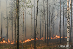 Санаторий «Газпрома» отрезан от Первоуральска из-за пожара. Фото